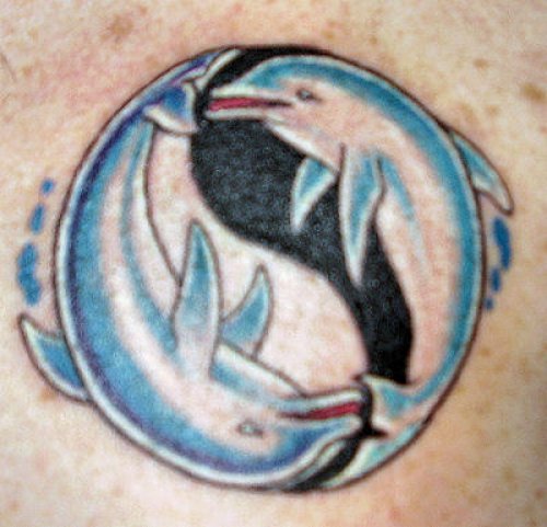 Yin Yang Aqua Dolphin Tattoo