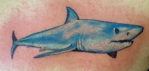 Aqua Blue Tattoo On Back
