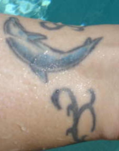 Black Tribal And Aqua Dolphin Tattoo