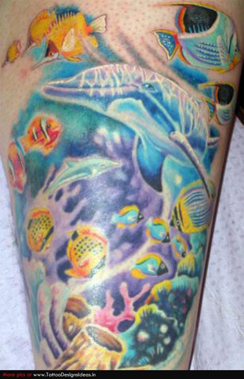Dolphin Aqua Tattoo On Leg