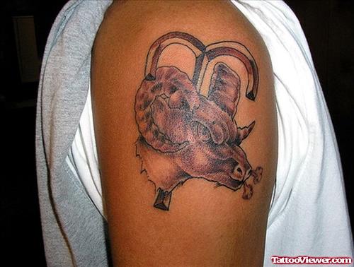 Grey Ink Goat Head And Aries Zodiac Tattoo On Right Shoulder