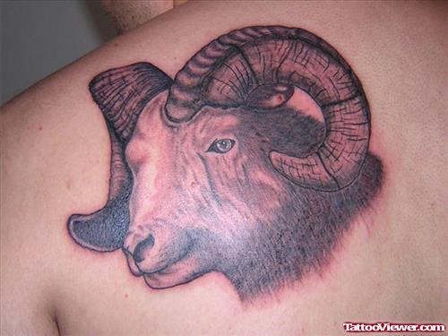 Grey Ink Goat Head Aries Tattoo On Back Shoulder
