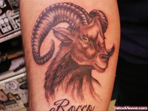 Grey Ink Goat Head Aries Tattoo On Sleeve