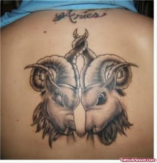 Grey Ink Goat Heads Aries Tattoo On Back