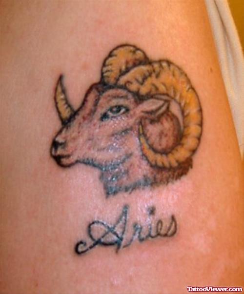 Awesome Color Ink Goat Head Aries Tattoo