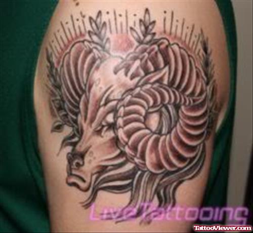 Awesome Grey Ink Aries Head Tattoo On Shoulder