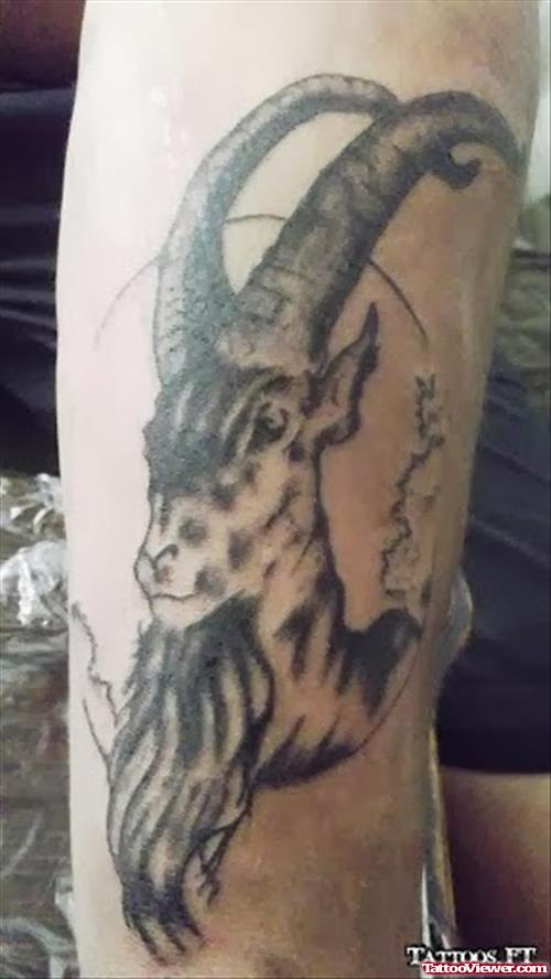 Arm Grey Ink Aries Tattoo