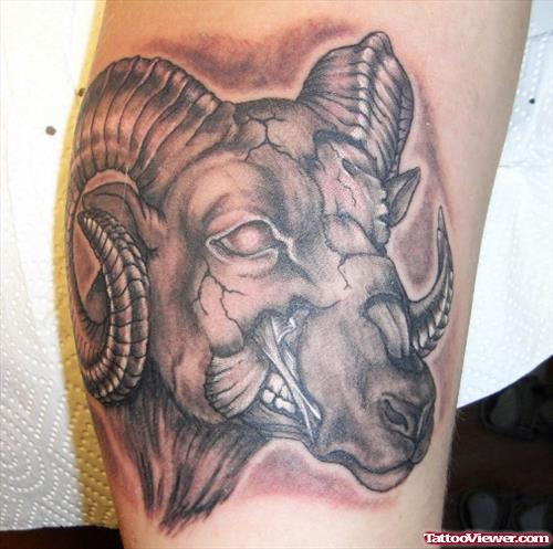 Awesome Grey Ink Goat Head Aries Tattoo