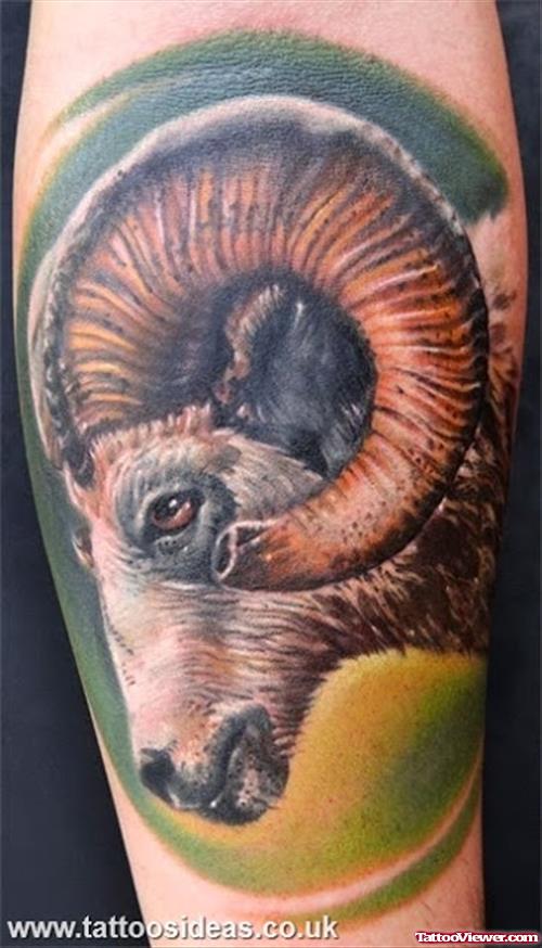 Color Ink Goat Head Aries Tattoo