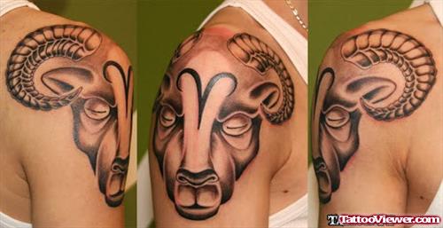 Goat Head Aries Tattoo on Shoulder