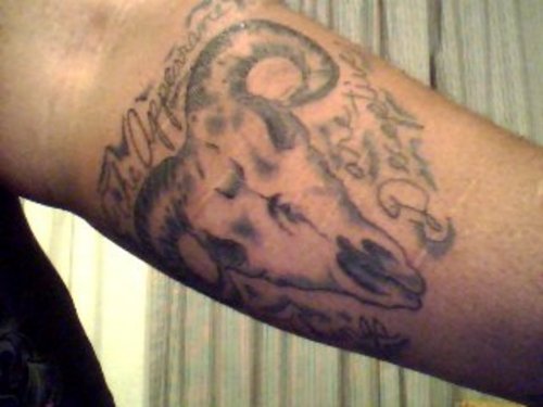 Grey Ink Goat Skull Aries Tattoo On Arm