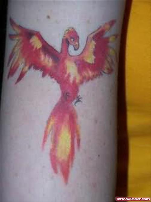 Phoenix Colour Tattoo On Arm
