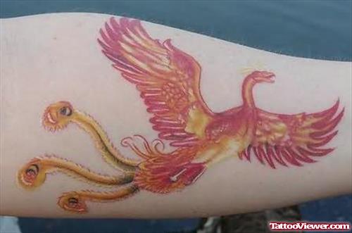Phoenix Tattoos On Arms