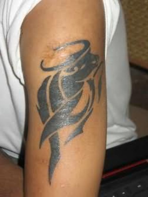Zodiac Tattoo Design  On Arm