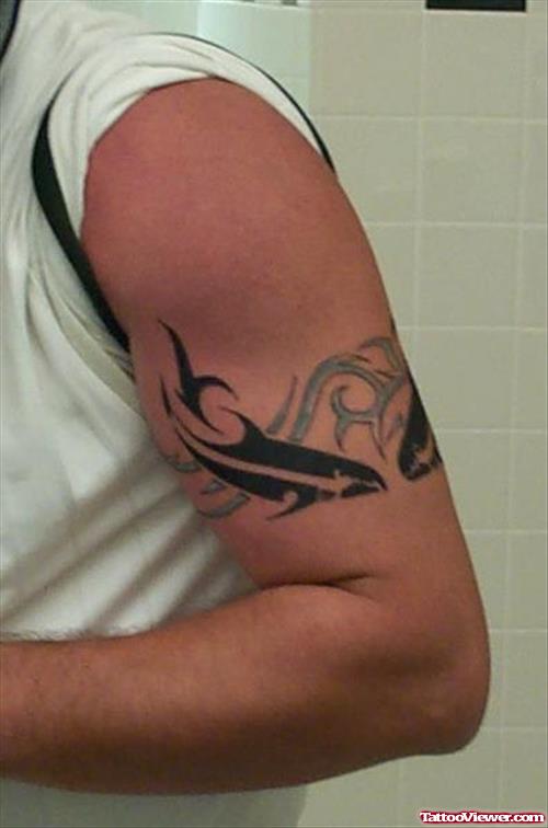 Sharl And Tribal Armband Tattoo On Bicep
