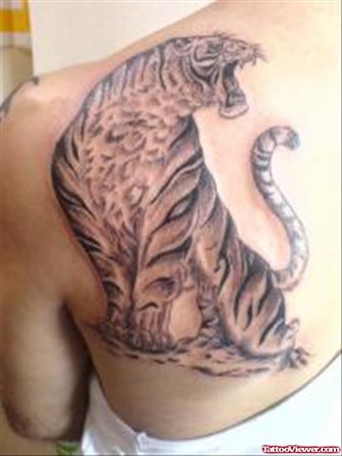 Grey Ink Asian Tiger Tattoo On Back Shoulder