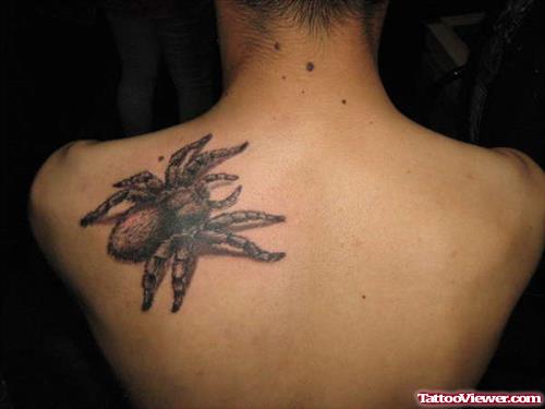 Grey Ink Spider Tattoo On Man Back