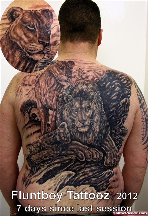 Grey Ink Lion Head Back Tattoo For Men