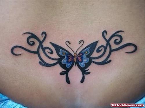 Beautiful Butterfly On Back