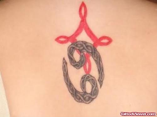 Gemini Cancer Tattoos On Back