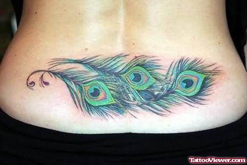 Peacock Feathers Back Tattoo