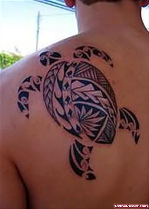 Turtle Celtic Tattoo On Back