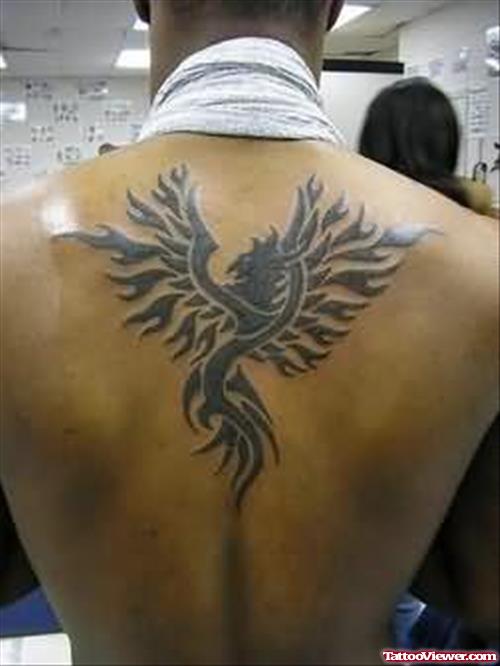 Phoenix Tattoo On Back For Men