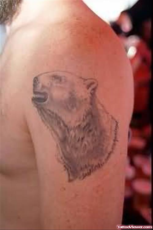 Tattoo Of A Polar Bear