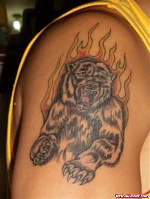 Bear In Flame Tattoo