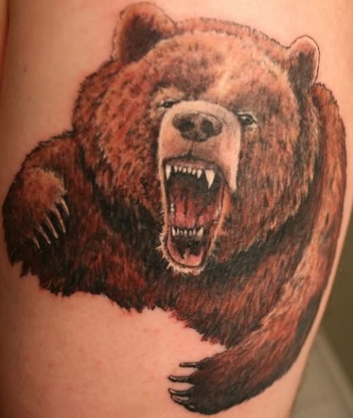 Very Angry Bear Tattoo