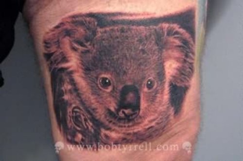 Kaola Bear Tattoo