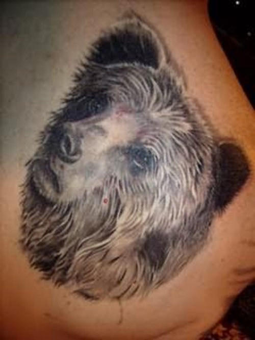 Sad Bear Tattoo