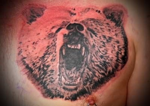 Latest Bear Tattoo Designs