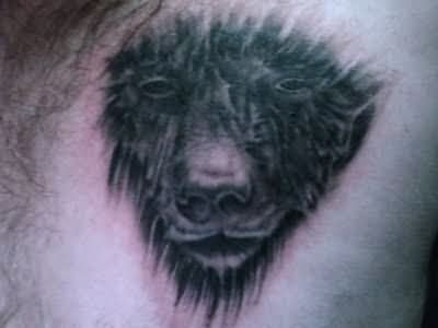 Old Bear Face Tattoo