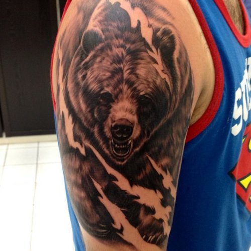 Grey And Black Bear Tattoo On Right Shoulder