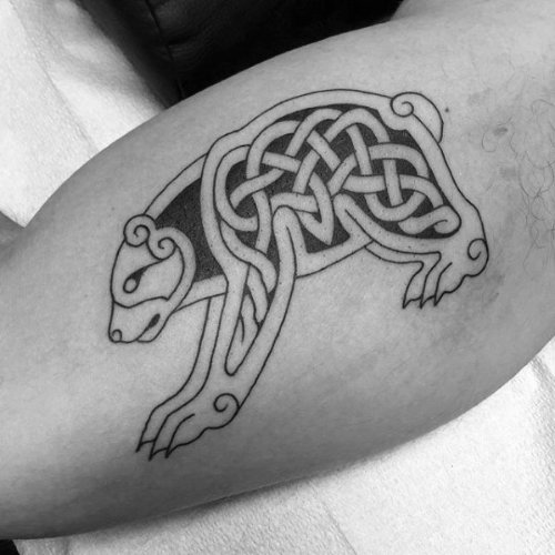 Celtic Bear Tattoo On Muscles