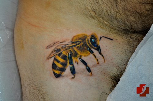 Amazing Black And Yellow Bee Tattoo