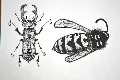 Grey Ink Beetle Tattoos Design