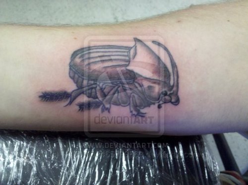 Grey Ink sung Beetle Tattoo On Inner Bicep