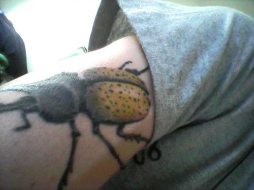 Right Bicep Beetle Tattoo For Men