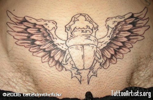 Grey Ink Winged Beetle Tattoo On Belly