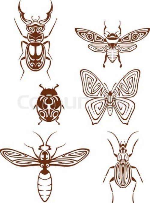 Beetle Tattoos Designs