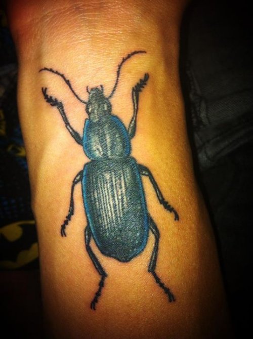 Beetle Tattoo On Forearm