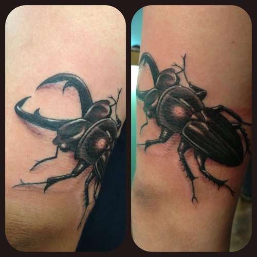 Black Ink Beetle Tattoo On Bicep