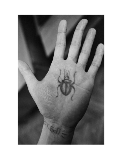 Beetle Tattoo On Left Hand Palm