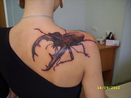 Beetle Tattoo On Right Shoulder