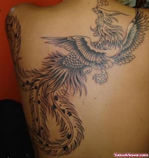Black Bird Tattoo On Full Back