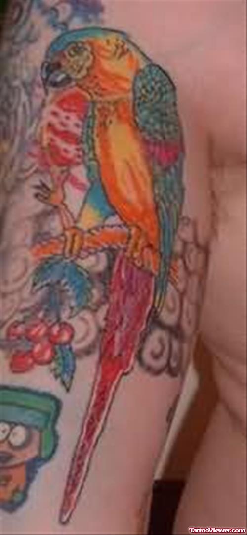 Colorful Parrot Tattoo