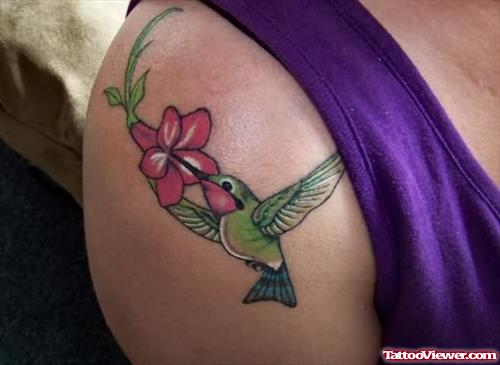 Humming Bird Tattoo on Shoulder