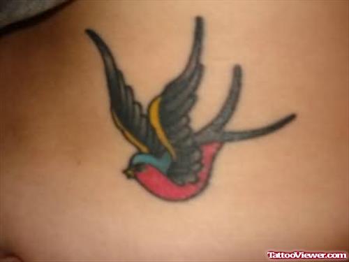 Colourful Bird Tattoo On Back